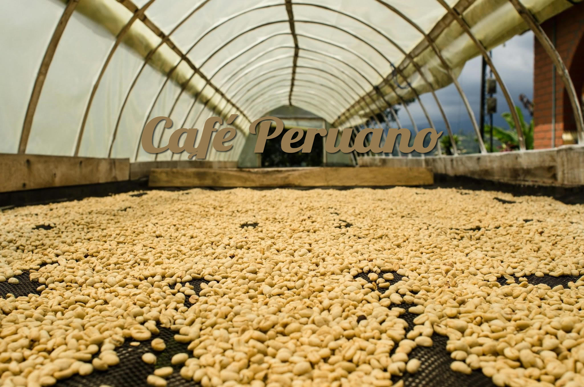 Café  Peruano Oreadoras