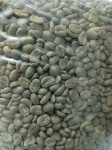 Muestra de Cafe en Grano