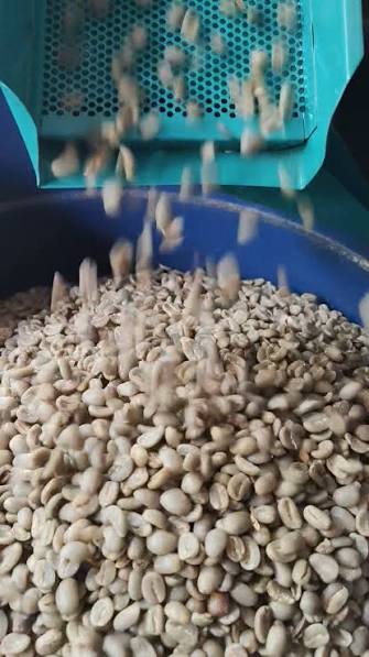 Servicio de Molido y Envasado de Café