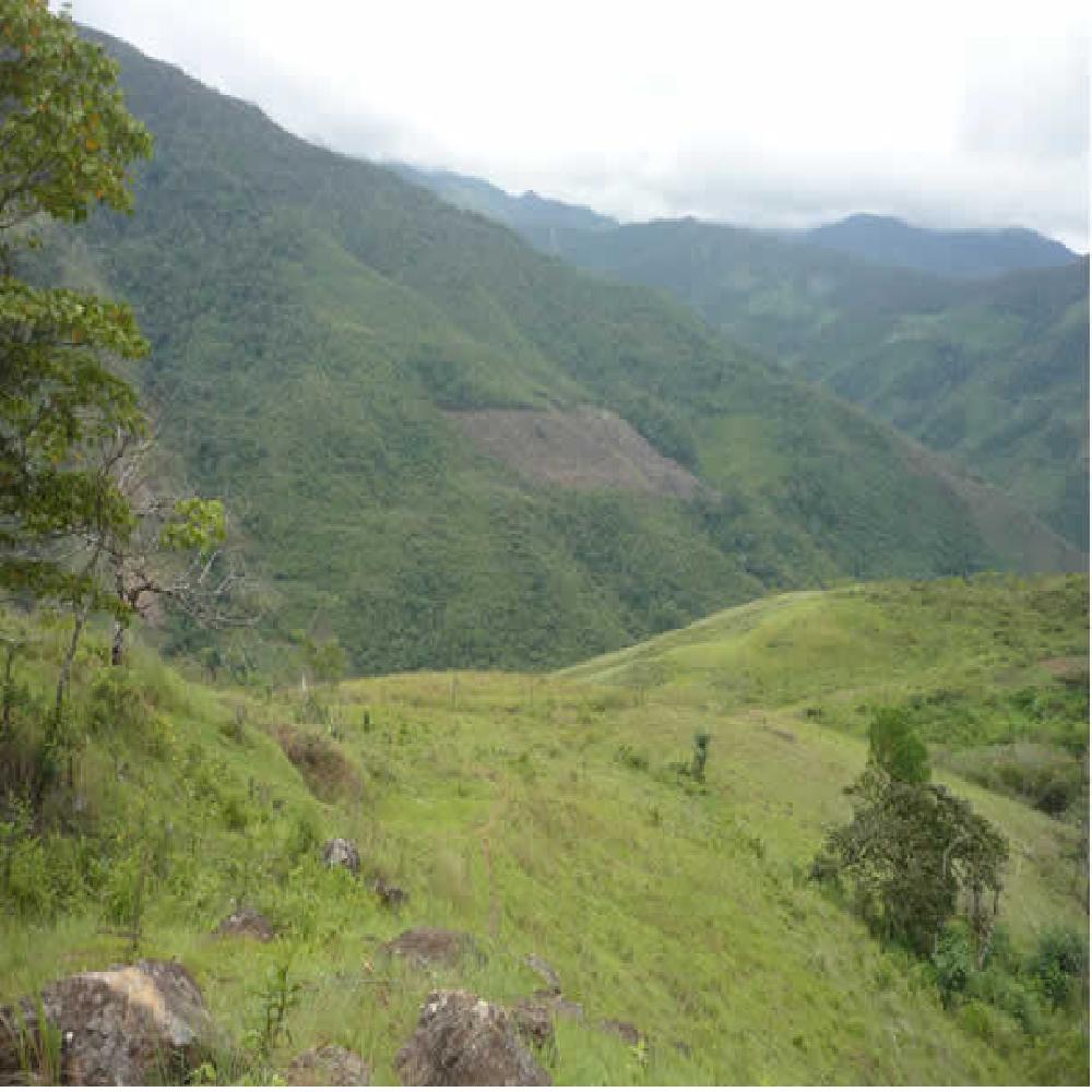 CAFÉ DON GASTON