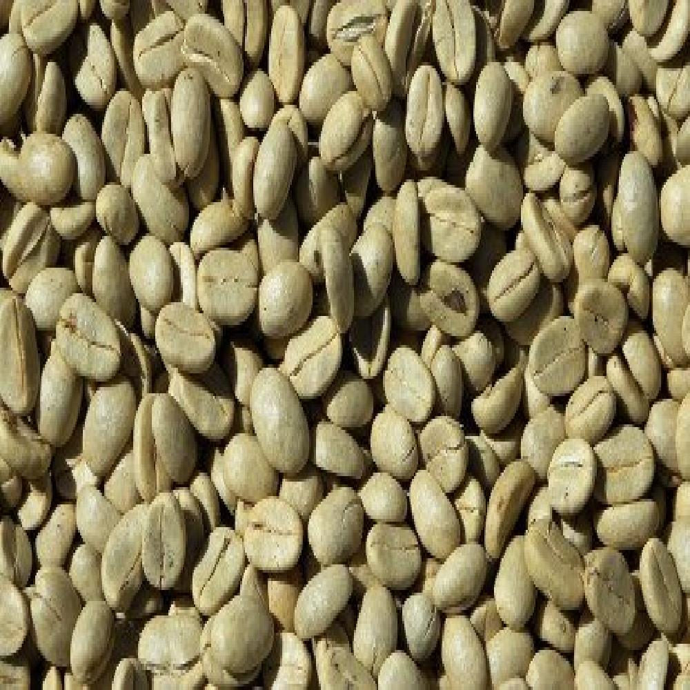 Café Orgánico Oro Verde