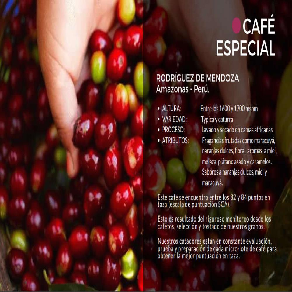 Café Artidoro Rodríguez de Mendoza Grano Tostado 250 gr