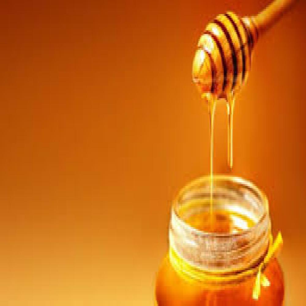 Miel de Abeja 600GR