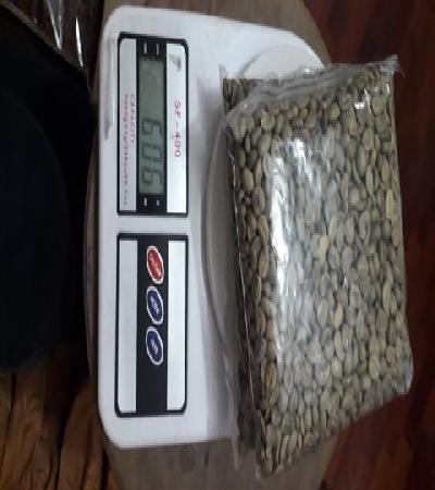 Café Verde Orgánico de Tingo Maria DCAFMT 46kg