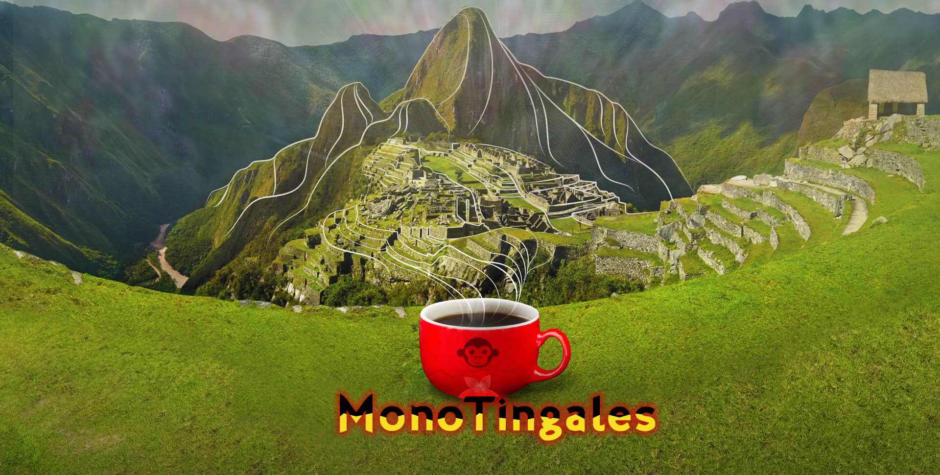 Café Gourmet Mono Tingales